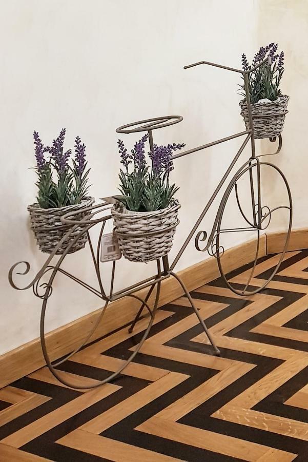 Domus Paradiso In Piazza Navona Apartment Rome
